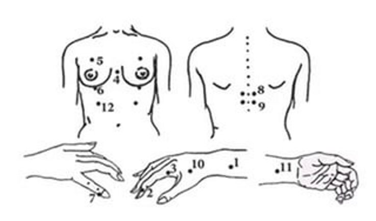 Body na těle pro japonskou masáž Shiatsu